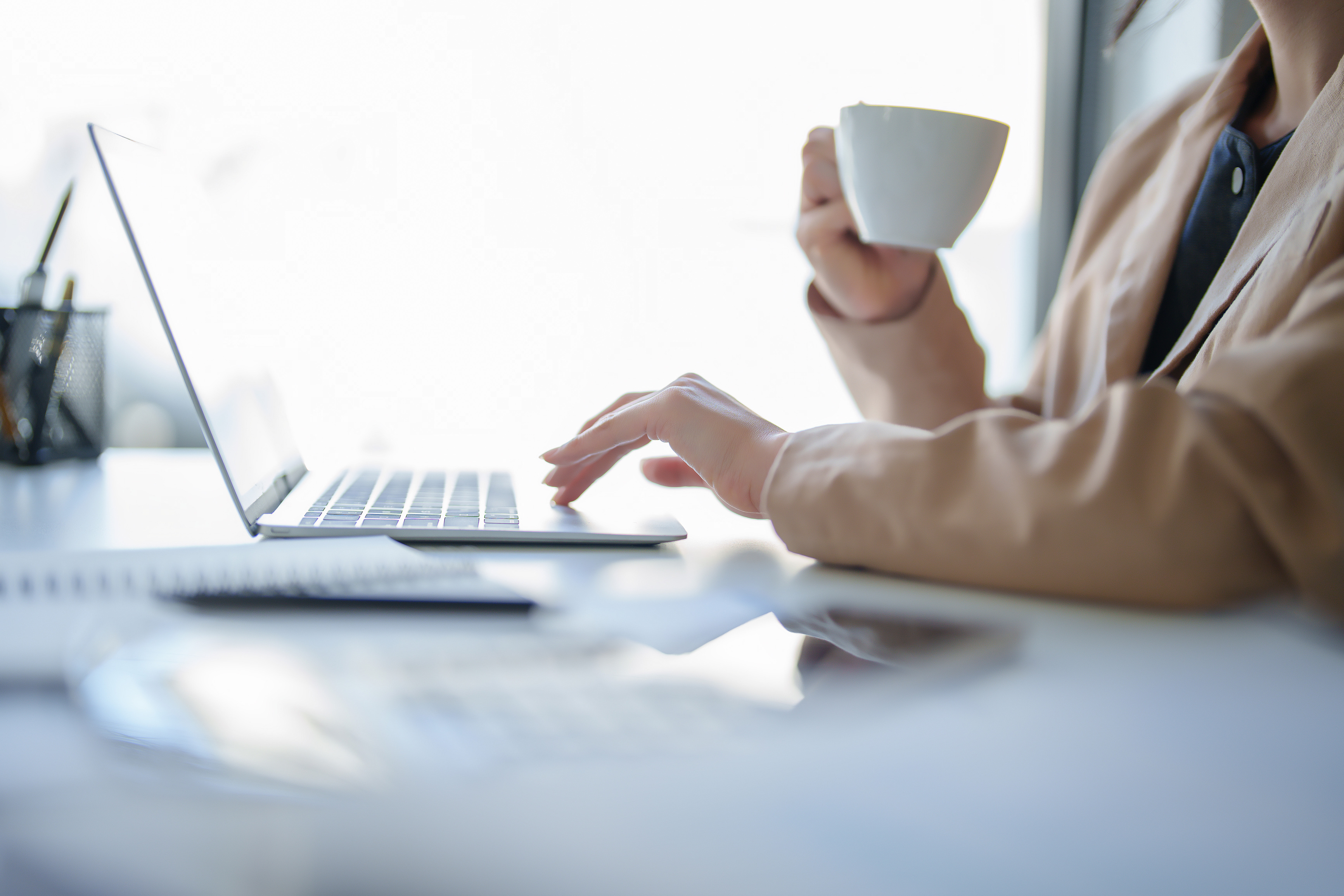 TheWiseCompany: gebundelde <br>IT-kracht